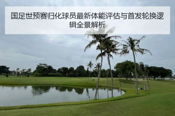 guo-zu-shi-yu-sai-gui-hua-qiu-yuan-zui-xin-ti-neng-ping-gu-yu-shou-fa-lun-huan-luo-ji-quan-jing-jie-xi-2-144.jpg